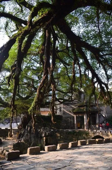 博皓游記 | 夏風(fēng)微醺的綺夢(mèng)，領(lǐng)略賀州黃姚古鎮(zhèn)、姑婆山閑憩之美-12