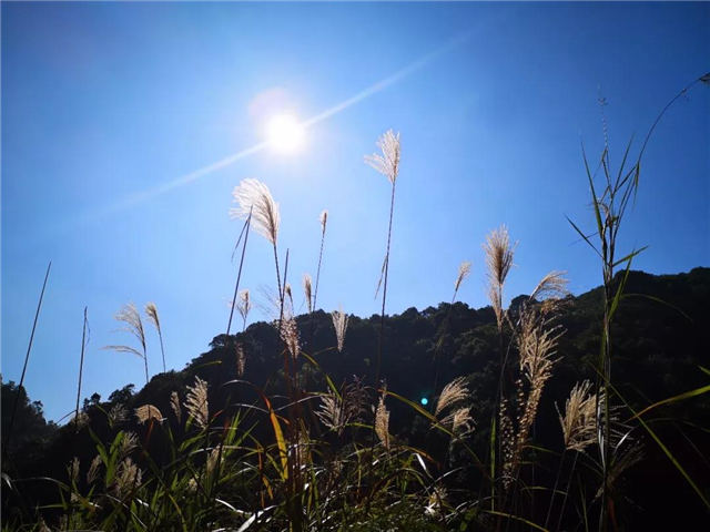 廣東博皓&ldquo;博行天下戶外俱樂部&rdquo;從化古溪線徒步之旅-8