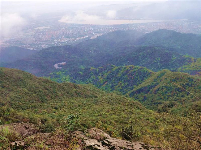 廣東博皓2020開年第一爬&mdash;&mdash;鼎湖山