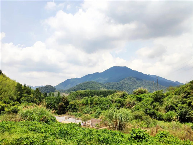 呼吸鮮氧，踐行公益&mdash;&mdash;廣東博皓公益活動：星溪線公益環?；顒?  -6