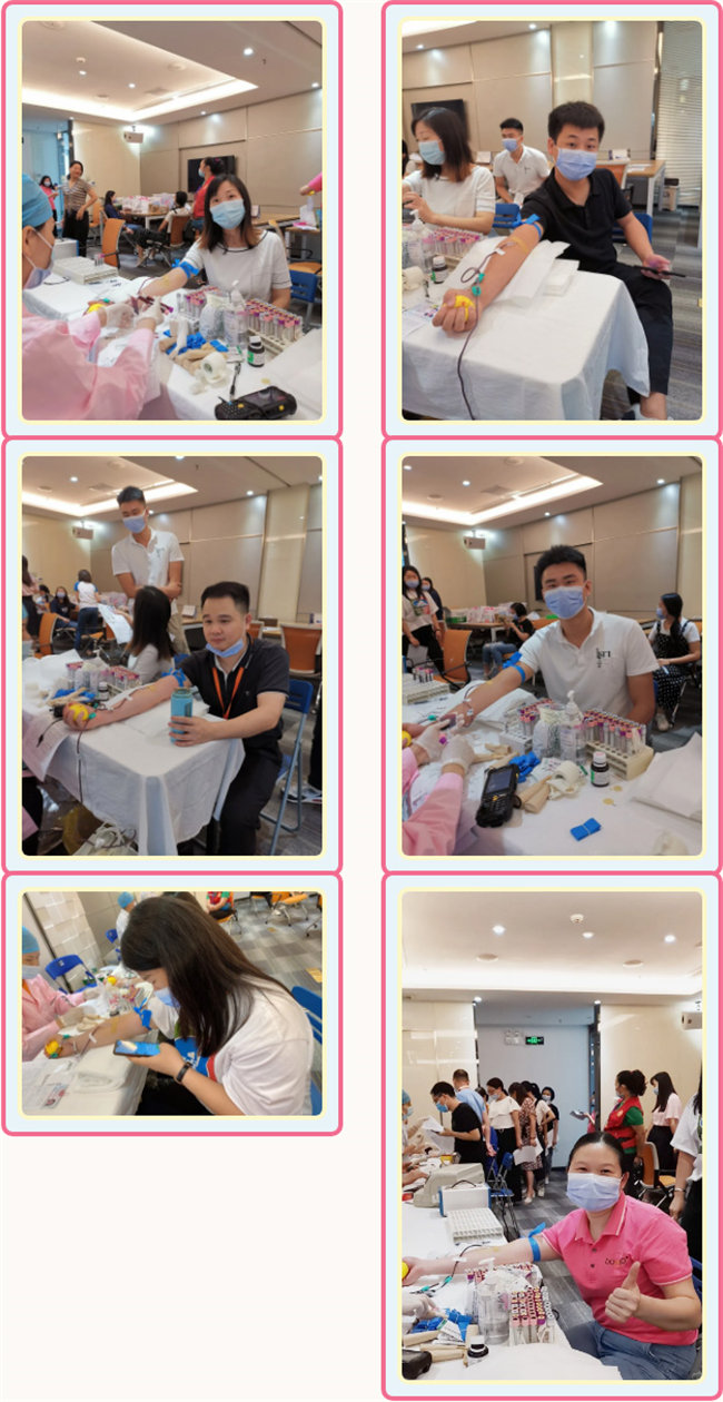 捐獻青春熱血，彩繪人生畫卷&mdash;&mdash;廣東博皓總班委組織了一次&ldquo;捐我熱血，呵護生命&rdquo;的無償獻血公益活動    -3