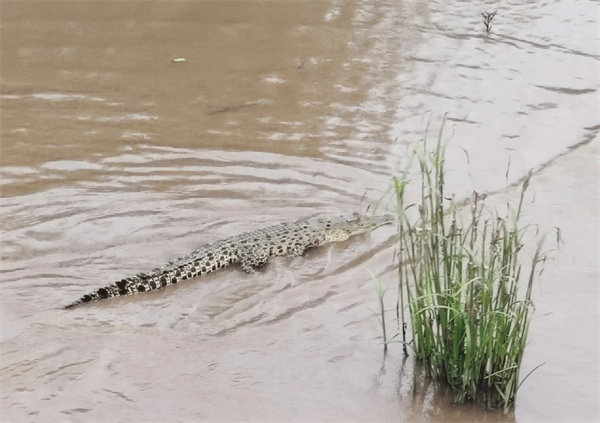 廿載風(fēng)云一路行，馬來風(fēng)情共見證&mdash;&mdash;2024廣東博皓馬來西亞之旅   -15