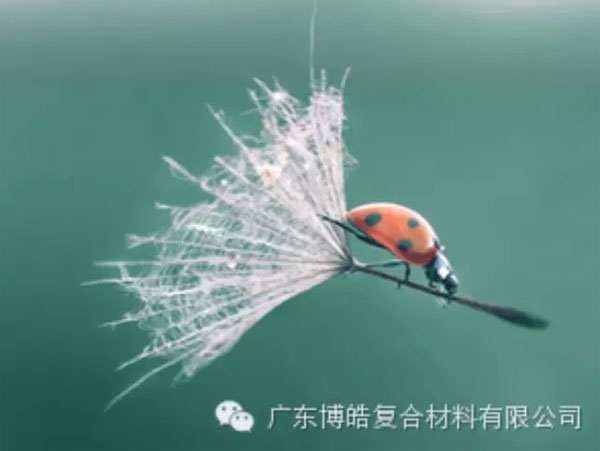 【博皓感悟】成功，要&ldquo;借力&rdquo;，不要&ldquo;盡力&rdquo;